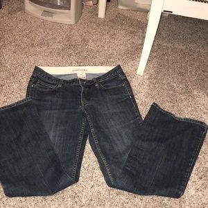 Banana Republic Dark Blue Boot Cut Jeans